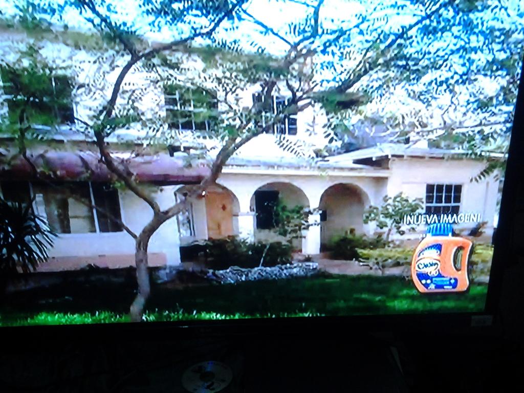 798Arellano's tweet photo. #ViveElColorCiclon http://t.co/3RwgmuXog7