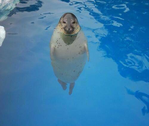 くっそw Twitterで話題の 力が欲しいか と訴えてくるモノたち Matomehub まとめハブ