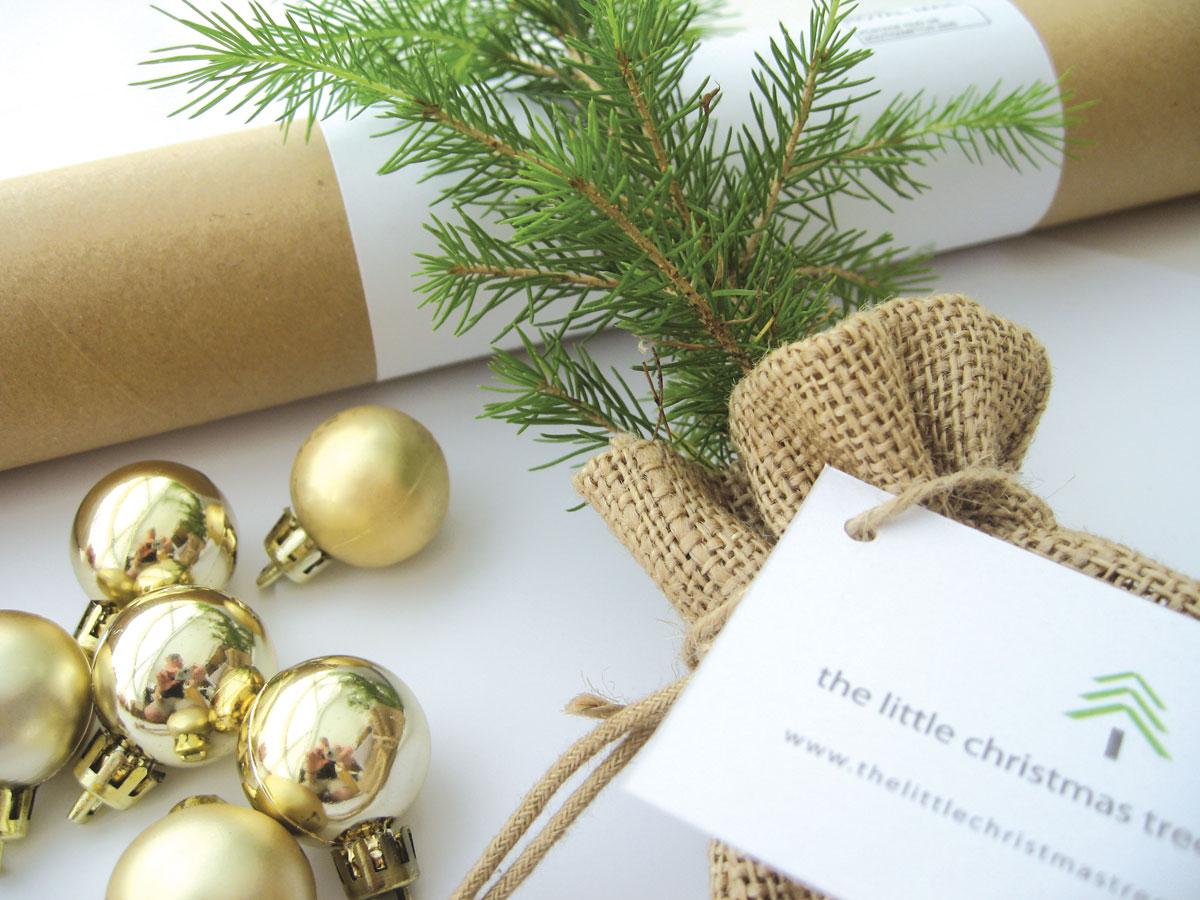 An original, thoughtful corporate Christmas gift for the same price as wine or chocolates. thelittlechristmastreecompany.co.uk