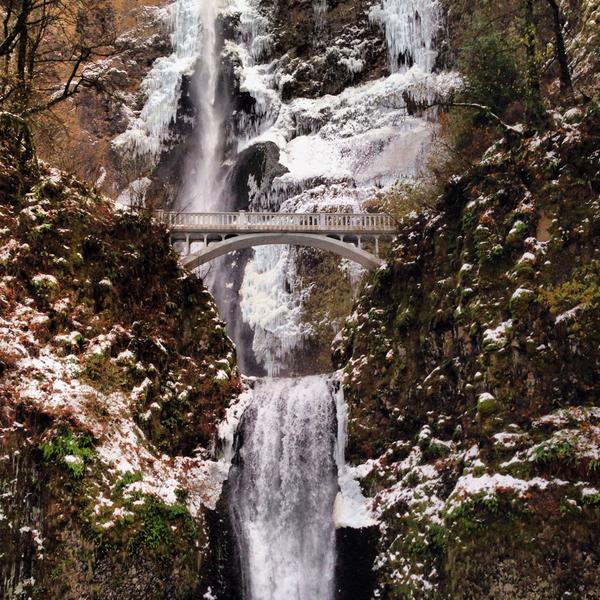CEO_bM's tweet photo. Incredible, #icy #Multnomah #Falls, Historic Colombia River HWY http://t.co/9olagiUy63