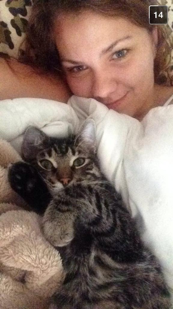 sharbur62's tweet photo. I'm a dog person but gotta admit this kitty is adorable #cats #kittentherapy #notyourtypicalcat @pbuttaa http://t.co/1S1LQtxNtw
