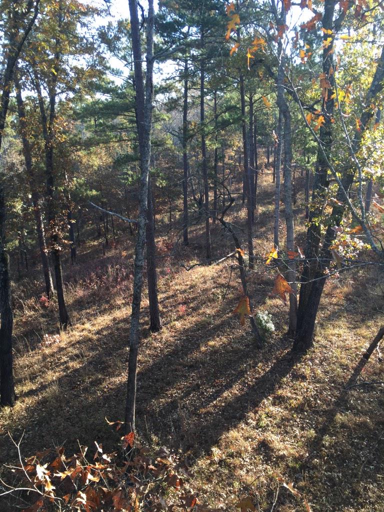 Nothin like GA hardwoods during the rut!