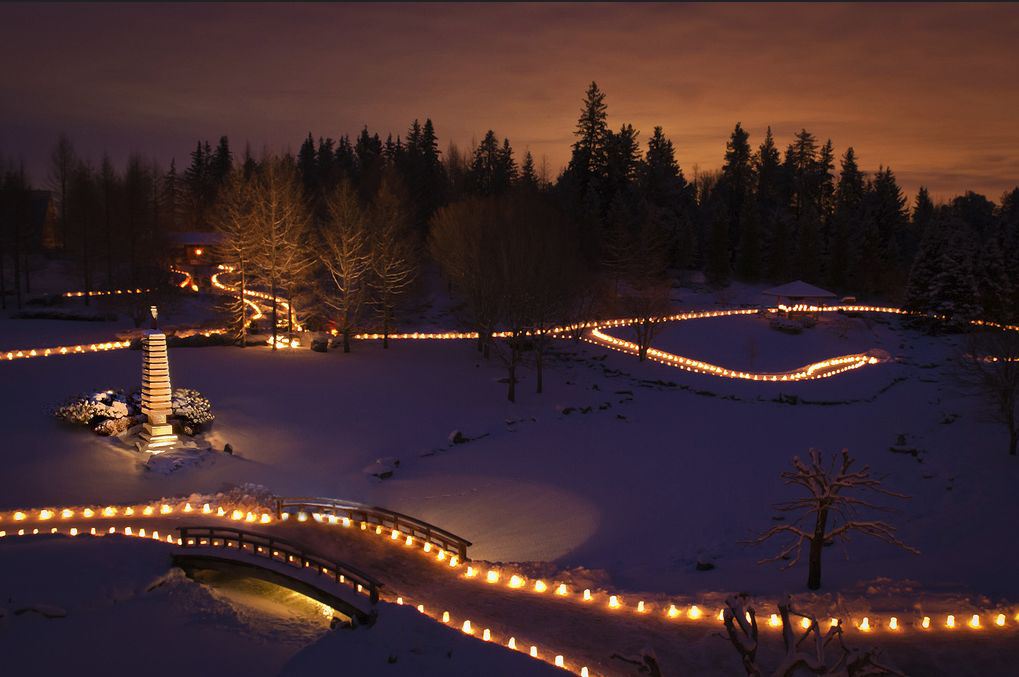 GlobalEdmonton's tweet photo. 12 holiday activities in and around Edmonton: http://t.co/bIABtk3Lzc #yeg http://t.co/FnKPjGIZlo