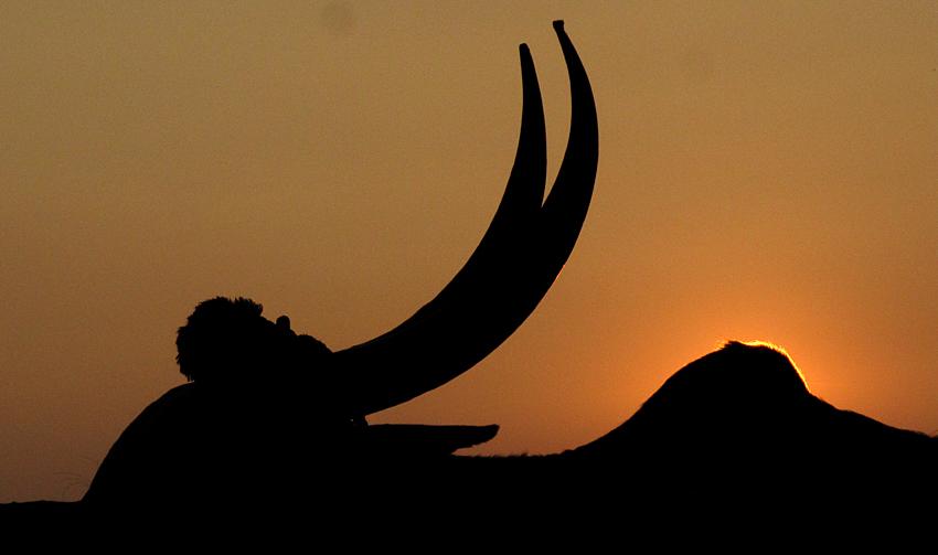 argentefoto's tweet photo. Muere el sol en Sangamner http://t.co/9Ou4XohNBa