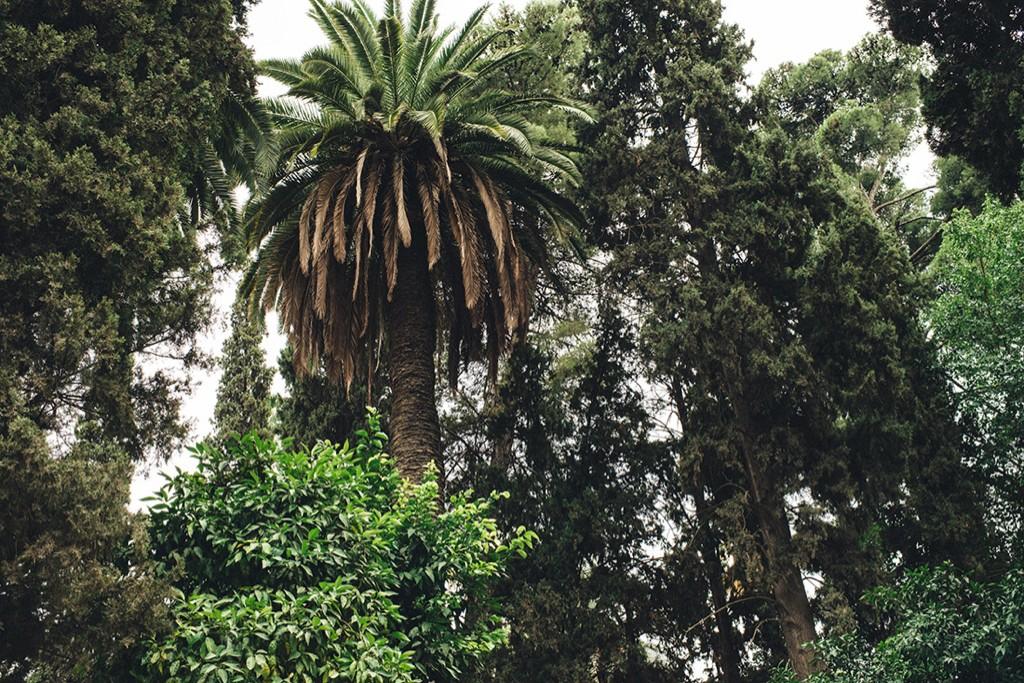 IndependentMap's tweet photo. Read | #Botanics | Latest @TheGardenEdit Journal entry: Jnal Sbil by @CNaujalis http://t.co/ZDQ0vOuwk9 #London http://t.co/Jj6LaMKOaT