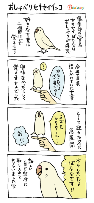 セキセイインコ を含むマンガ一覧 古い順 ツイコミ 仮
