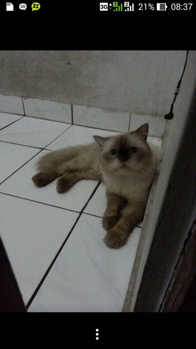 Lee :*{} penghuni kamar nya <a href="/ibaaleee/">IqbaL Abdurahman</a> sekaligus suami nya dora yang baru :D