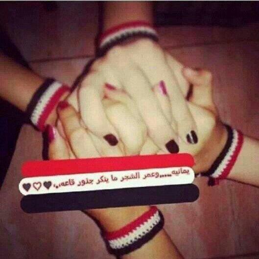 dcad3032ba7046b's tweet image. 