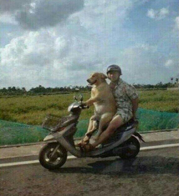 TuitMalo's tweet photo. - Amor, veni a casa. 
- No puedo, estoy sin licencia.
- No esta nadie, estoy caliente y toda mojada. http://t.co/utHCE1eNbL