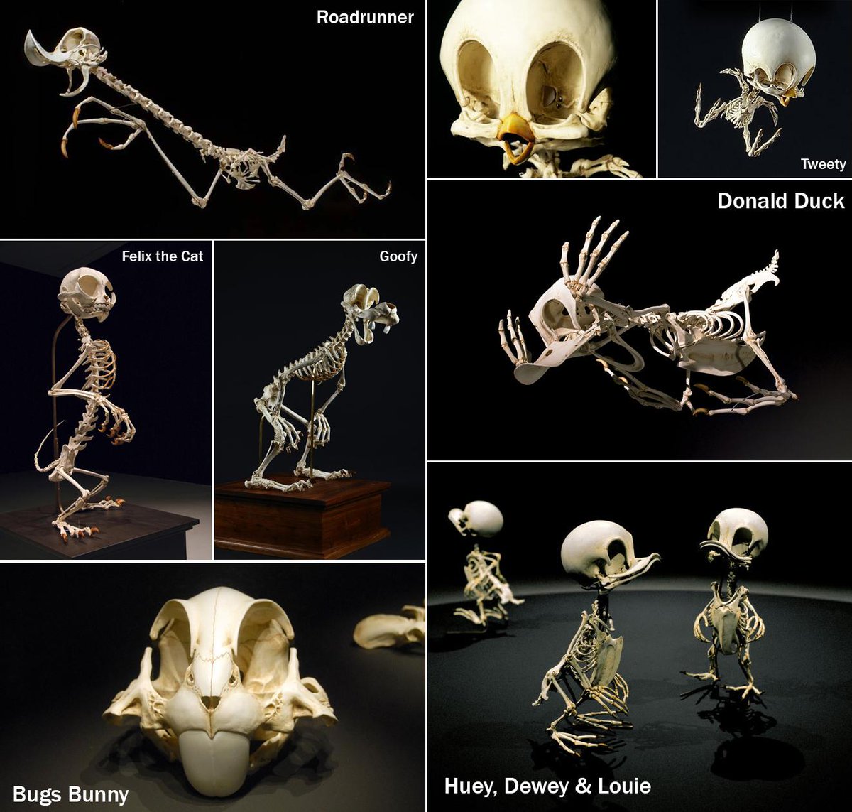 The skeletons of famous cartoon characters by artist @hyungkoolee. (via ...