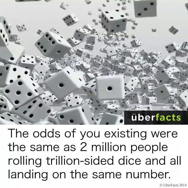 IlmFeed's tweet photo. 'It all happened by chance.'
#atheistlogic #illogical #AllahistheCreator http://t.co/pgY1c4m42N