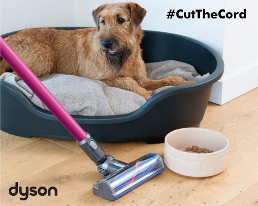 Dyson's tweet photo. Fur, fluff and treats. #DC72 is up for the challenge http://t.co/p7UJQSCT8l #CutTheCord http://t.co/EurDepxg0O