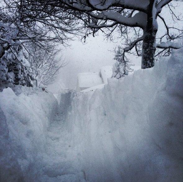 Девочка в зимнем лесу. Снежный буран. Снег все преображает. Пушистый снег. Зима свирепствует.
