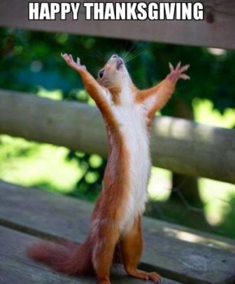 2016Butler's tweet image. It's (almost) Thanksgiving! A nice break is finally here with time for family, friends &amp;amp; food! bit.ly/travelnov14