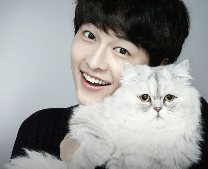 корейские парни с котиками. кореянка с котом. корейцы с котами. корейская кошка. кореянки с котятами.