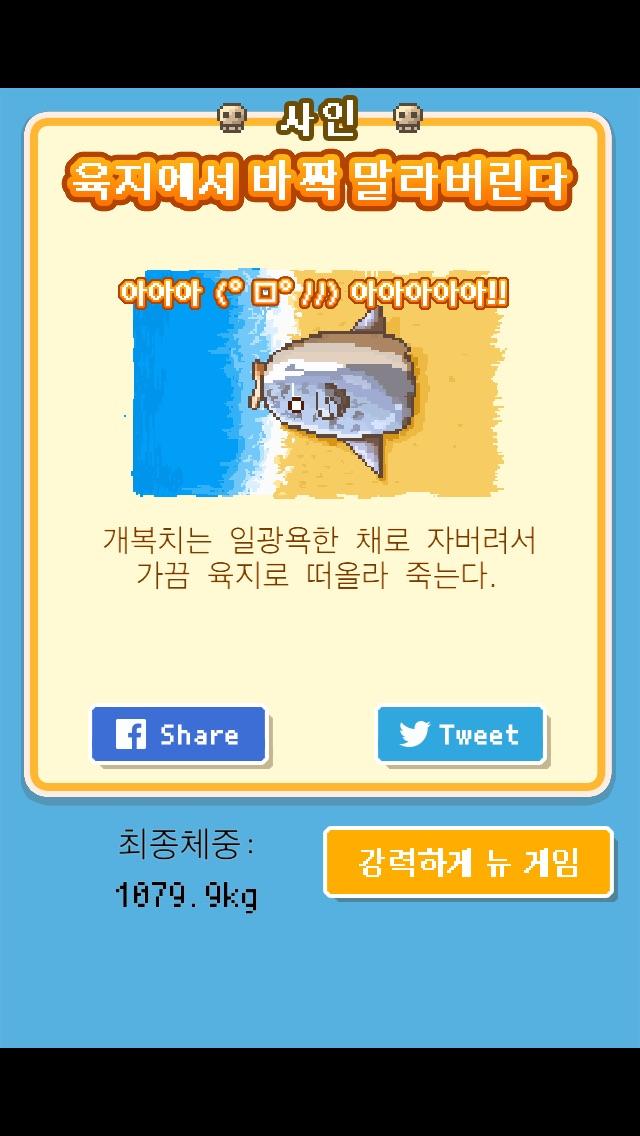 Lucy Heo tweet media