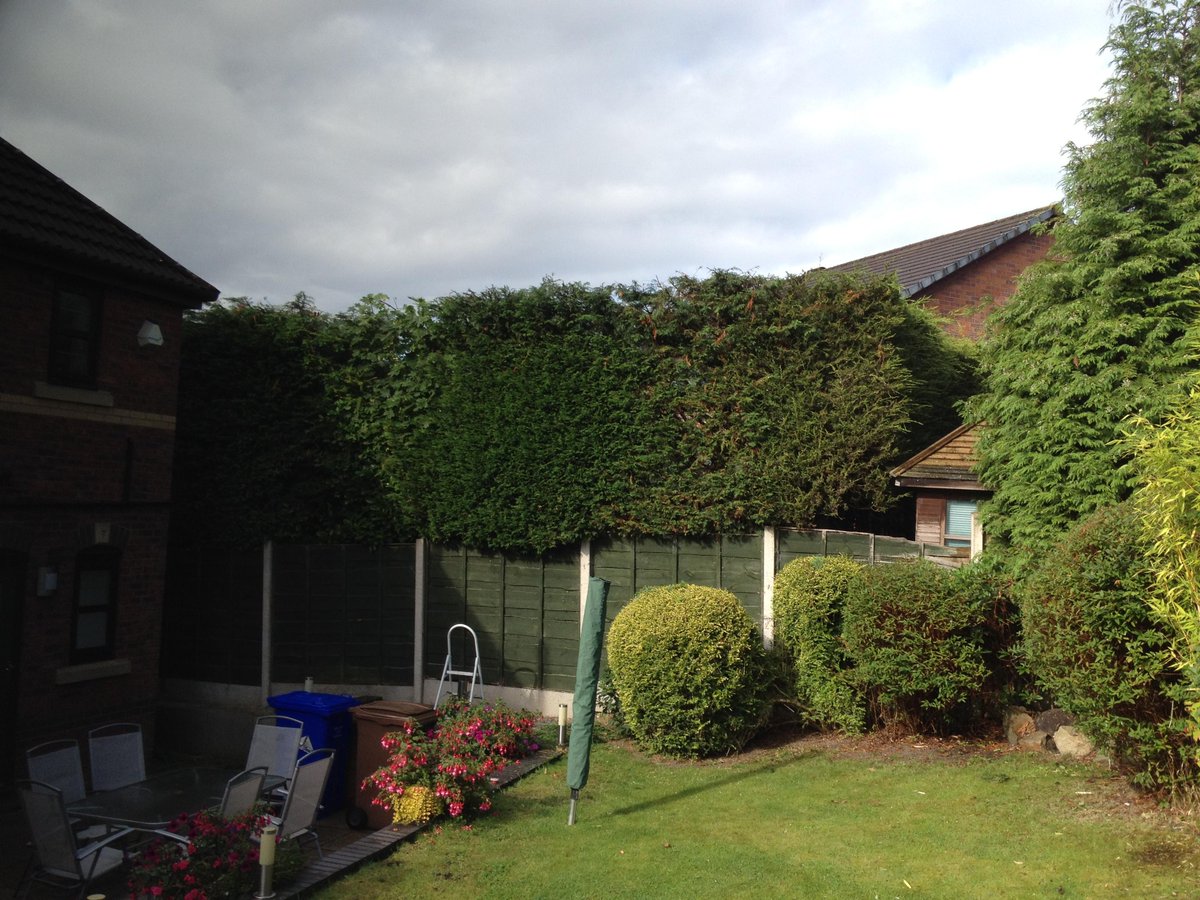 ArborismoJoe's tweet image. “@SunnybankForest: Check out before and after shots of a recent job we did #treesurgery #hedgepruning http://t.co/4wTIVgHLor” nice job