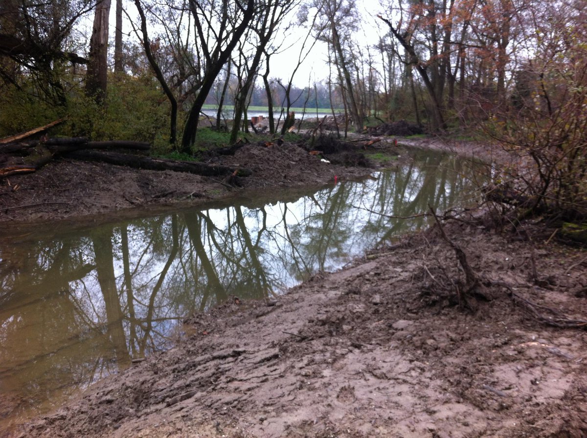 Das Gewässer zwischen Entnahmebauwerk und Wintersdorfer Altrhein ist weitgehend profiliert. rheinauen-rastatt.de/de/node/51/akt…