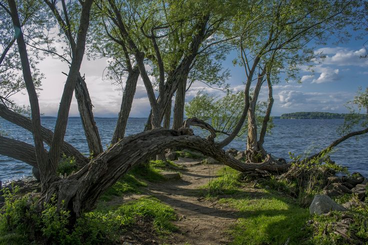 InsaneViews7's tweet photo. Madison, Wisconsin http://t.co/eYpj3NlbKw
