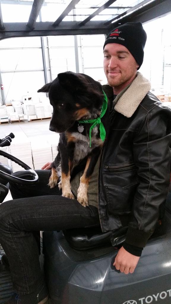 theb_hill's tweet photo. Today #BionicBrody learned how to drive the forklift. @macbrennan giving the guidance. #TerraVerre #dogs http://t.co/0M8uoSGLHh