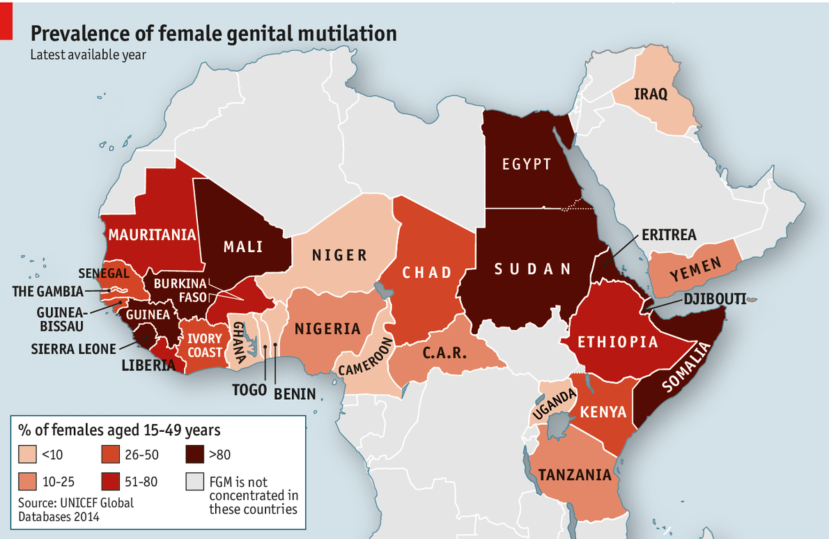 TheEconomist's tweet photo. In Egypt, over 80% of females aged 15-49 have been subjected to female genital mutilation  http://t.co/uMnUXJ4oHg http://t.co/q84QXDL0Ki
