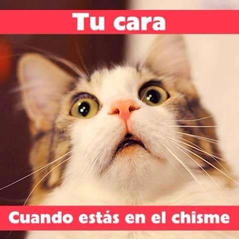 Lali27's tweet photo. Siempre se debe estar informada 😁 http://t.co/mPCzD30za1