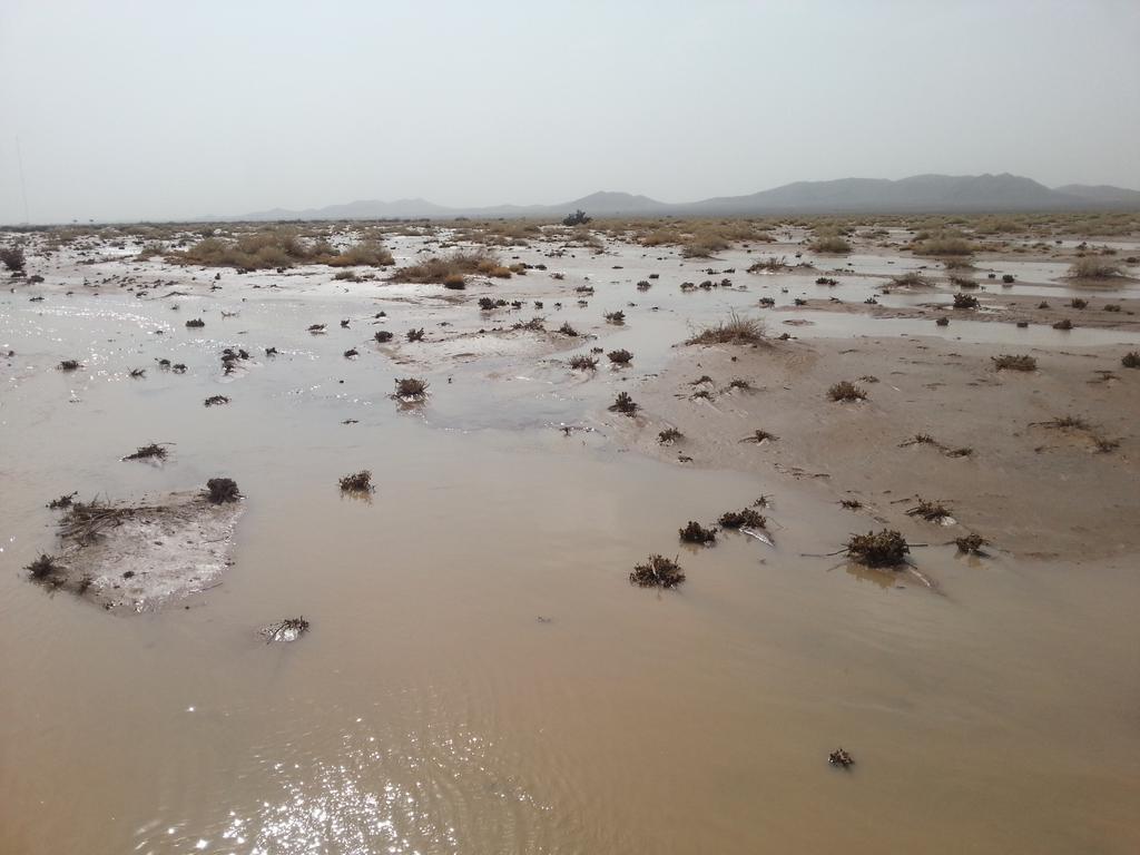 aom88891's tweet photo. #سيول_الصفوية/26/1/1435 http://t.co/Pcn0slmiaF