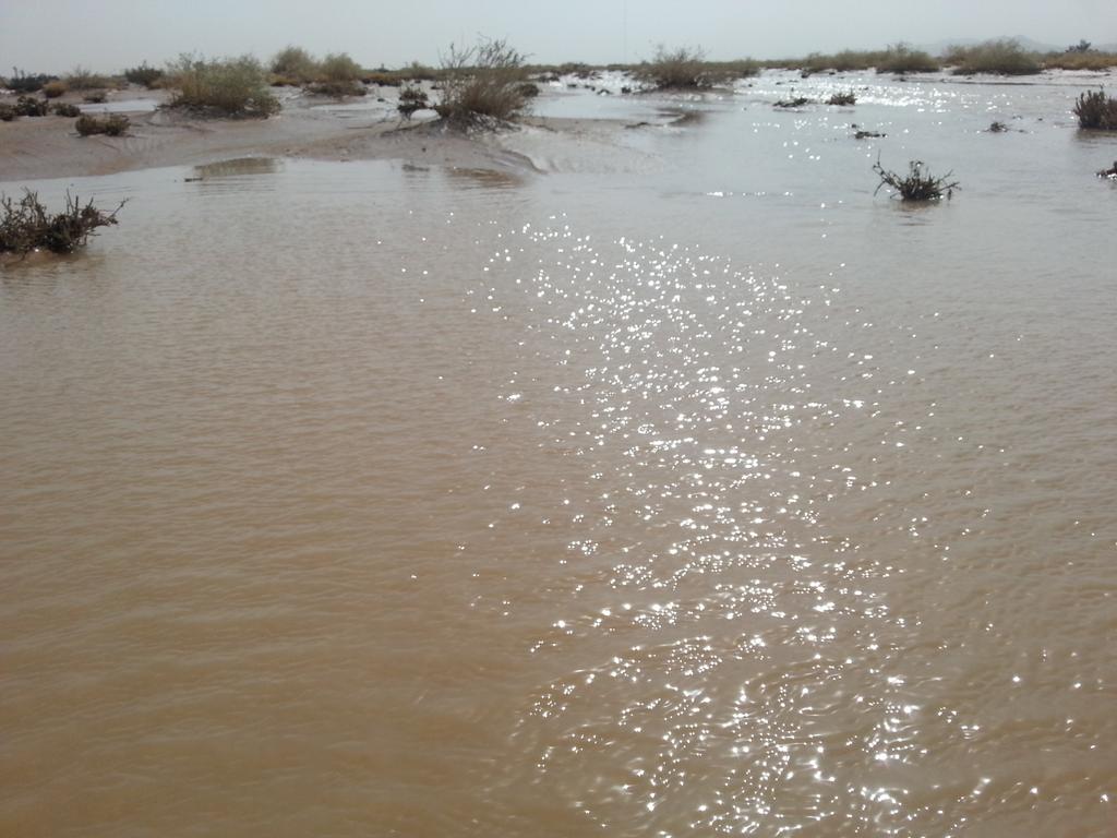 aom88891's tweet photo. #سيول_الصفوية/26/1/1435 http://t.co/Pcn0slmiaF