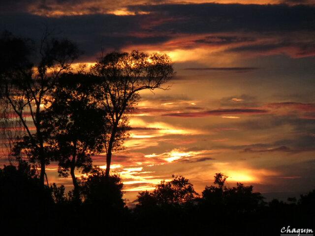 Chandra_Ibis's tweet photo. "Seperti Senja" http://t.co/Zh3gcqVx1O