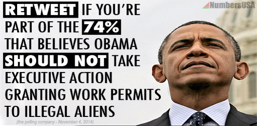 NumbersUSA's tweet photo. RETWEET if you are with the 74% of midterm voters that REJECT Obama's executive amnesty!

#immigration http://t.co/BDEQoDQ3vX