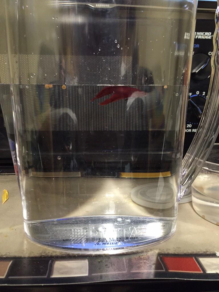 notnotkov's tweet photo. Coach upgraded #BritaWaterFilter http://t.co/2ufHjFmnyU