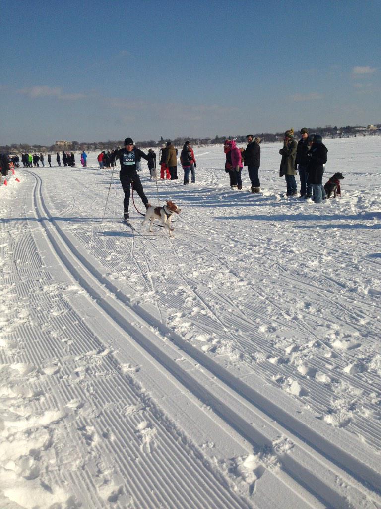 natesandersMN's tweet image. #SeeForYourself #TNFContest skijor delight!!!