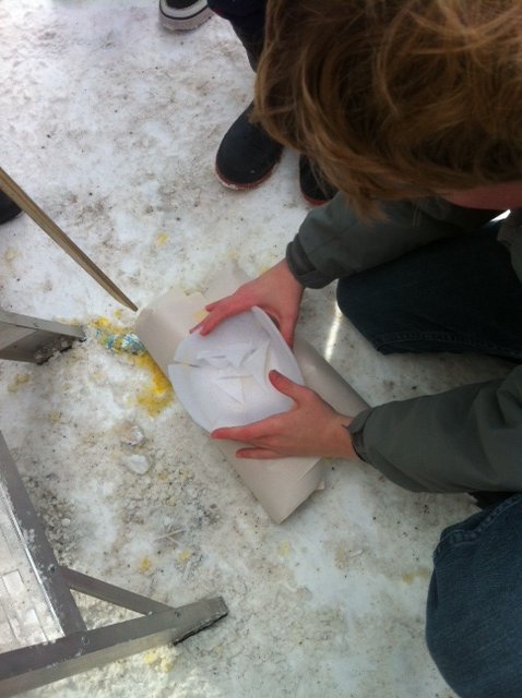 PaulyneCass's tweet photo. Testing our #eggdrops in #science! #structures @orchardpark7 http://t.co/JOP6IqHF56