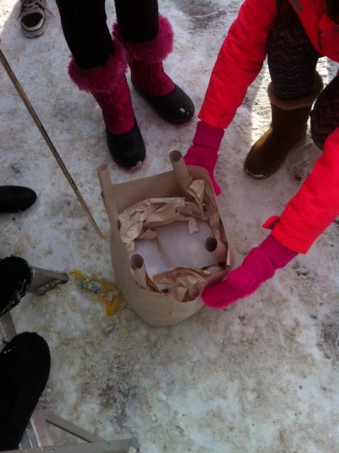 PaulyneCass's tweet photo. Testing our #eggdrops in #science! #structures @orchardpark7 http://t.co/JOP6IqHF56