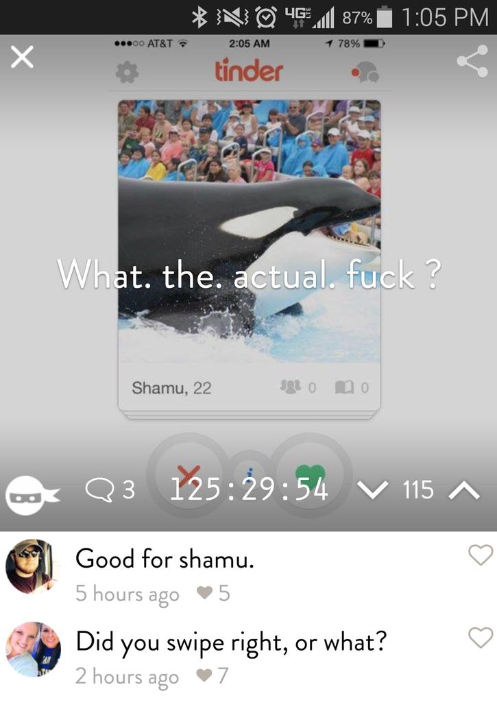 adamada's tweet photo. Shamu made Fade.. I'm so proud 😊 Ya know, I should probably check that account. #SwipeRightLadies http://t.co/Ufii0jCfYx