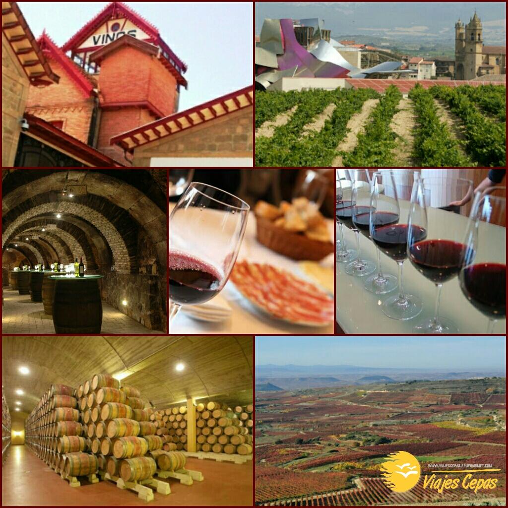 ¿Os apetece descubrir el encanto de #LaRioja? ¡Tenemos una preciosa excursión preparada! Infórmate #PuenteDiciembre