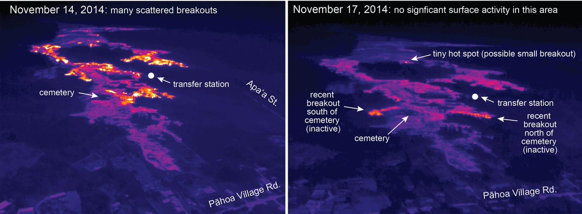 KilaueaEcoGuide's tweet image. Flows stall on Kilaueas East Rift Zone as they approach the town of Pahoa #kilauea #hawaii #volcanoupdate #bigisland