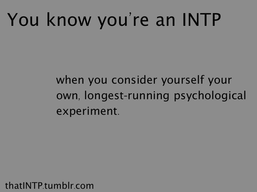 Mind Of An Infp Intp Infp Intp Twitter