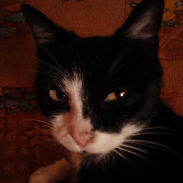 candy_meli's tweet photo. micu <3 http://t.co/BGVk7p3Vpe