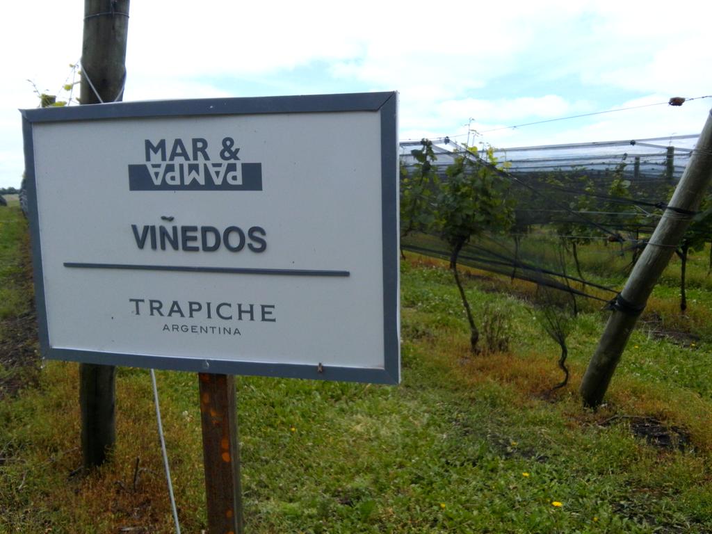 Muy bien #MaryPampa de <a href="/TrapicheArg/">Trapiche</a> . Abre una nueva puerta para los vinos argentinos