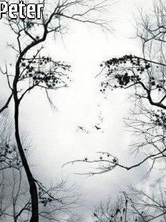 michelpeter22's tweet image. 