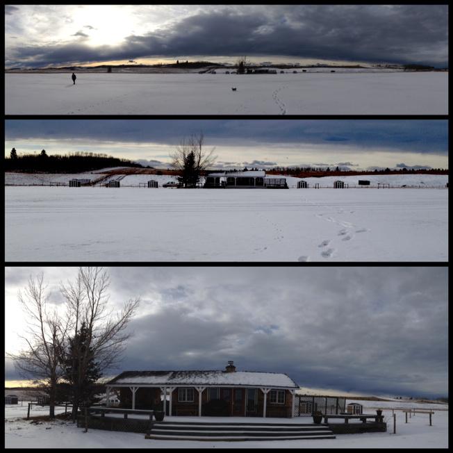 The Black Diamond Polo Club...November 20, 2014