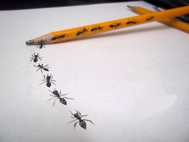 Meia Seis tweet media