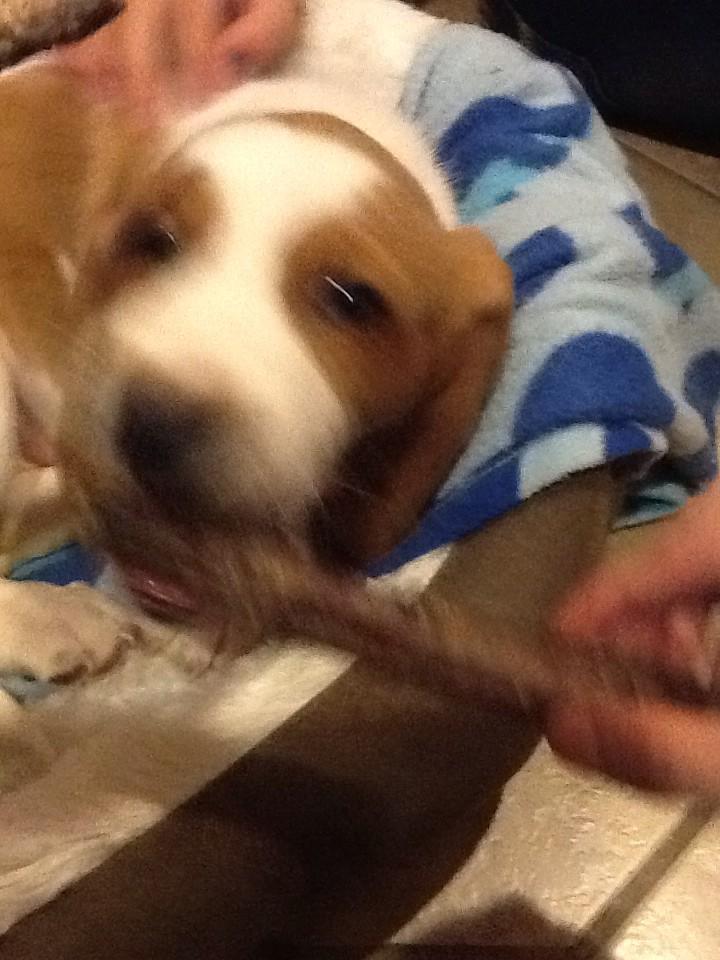 termagatorbytes's tweet image. 