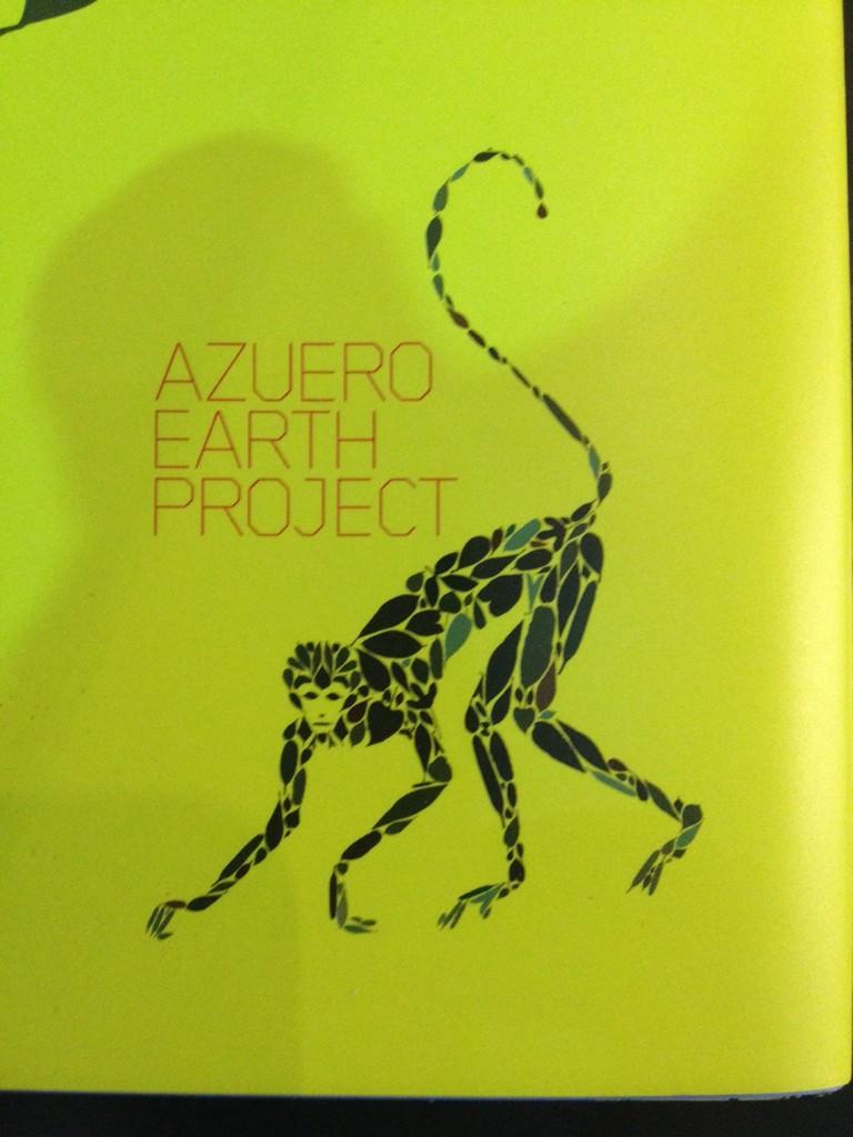 If you think the spider monkeys are worth saving, join us. <a href="/FParqueArte/">Fundación Parquearte</a> <a href="/FestivalAbierto/">Festival Abierto</a> <a href="/edwinavongal/">Edwina von Gal</a>