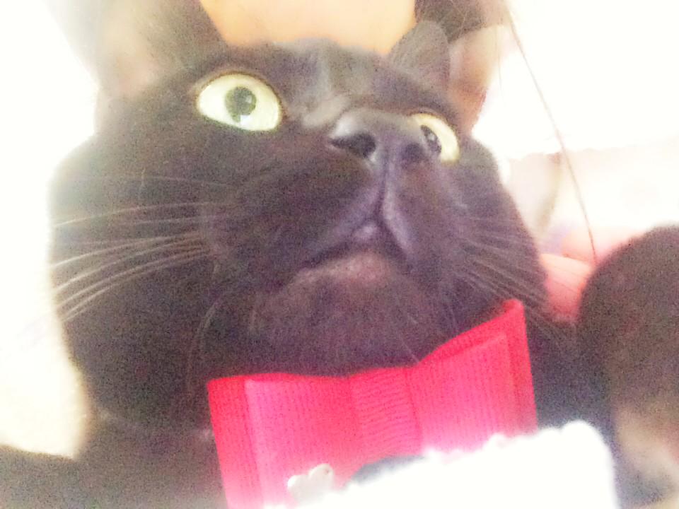 galsa_wasos2's tweet image. 