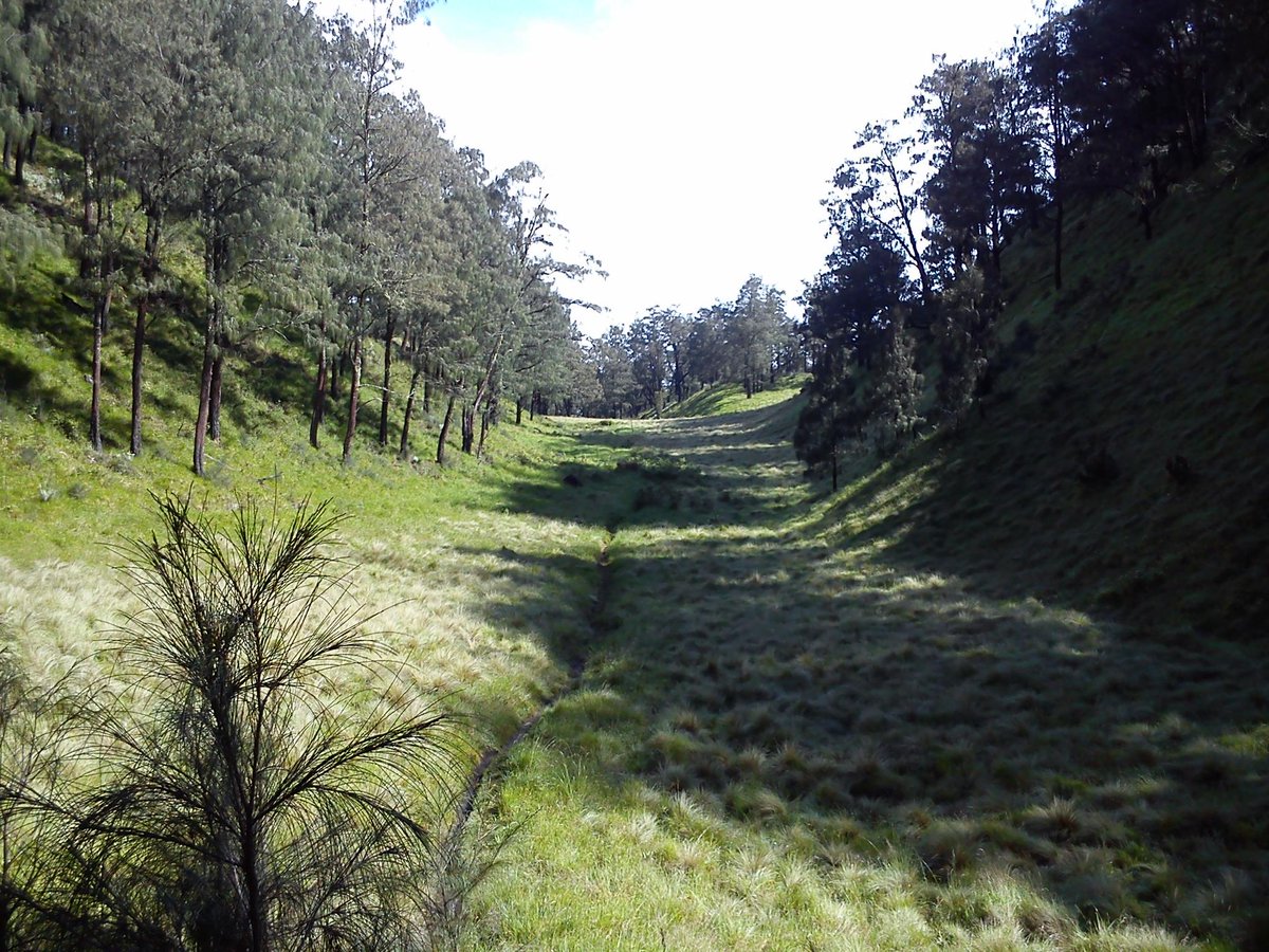 infopendaki's tweet photo. RT @fkpgsoloraya: yuk nikmati keindahan #lawu via Cetho :) http://t.co/QtSXVb7Hgr