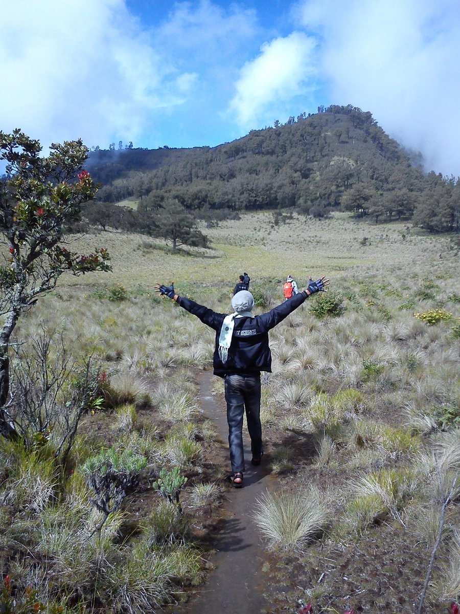 infopendaki's tweet photo. RT @fkpgsoloraya: yuk nikmati keindahan #lawu via Cetho :) http://t.co/QtSXVb7Hgr