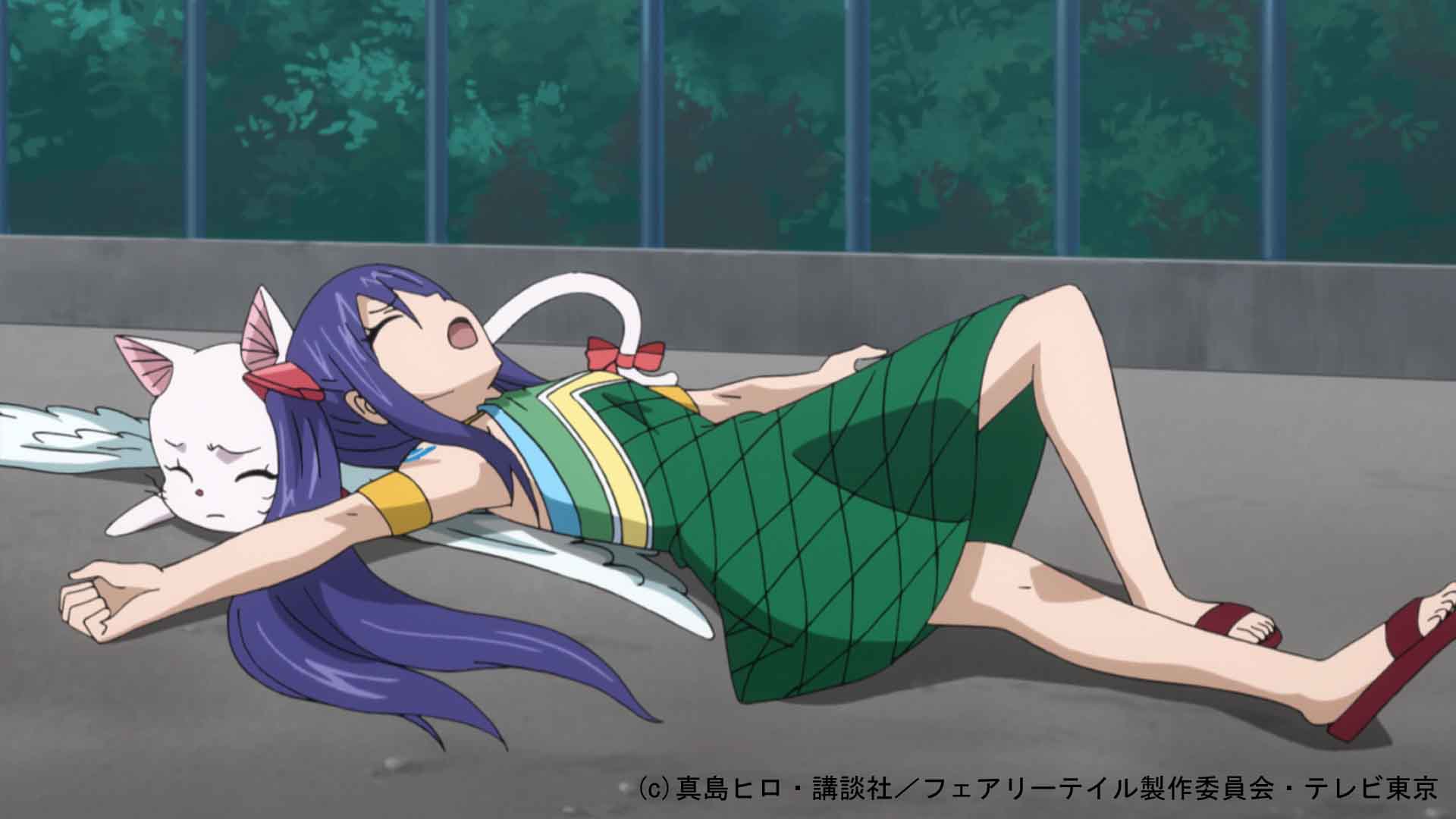 FAIRY TAIL ウェンディ・マーベル シャルル