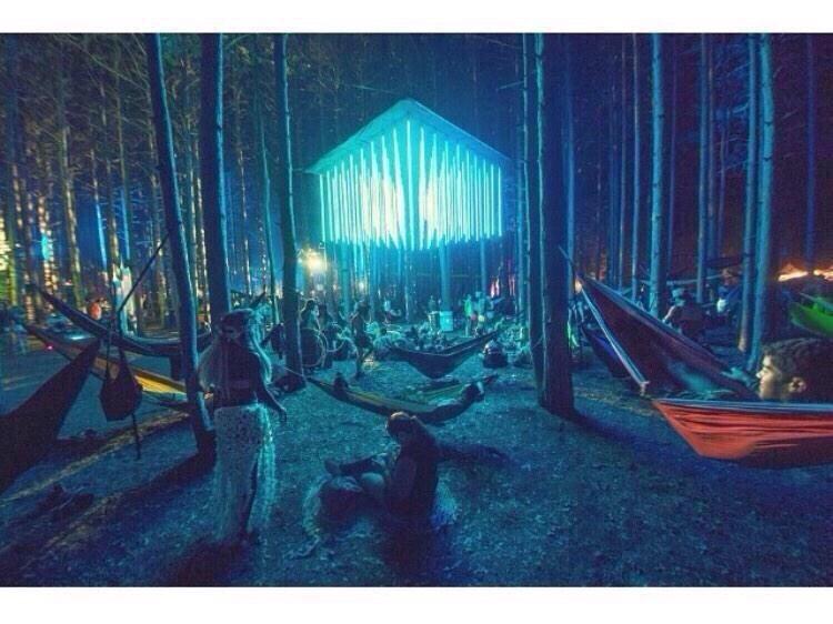 ChiIIVlbes's tweet photo. Take me to Electric Forest 🌻🌌😍 http://t.co/TcIgps7qIC